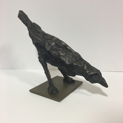 Saturn Blackbird 11/12