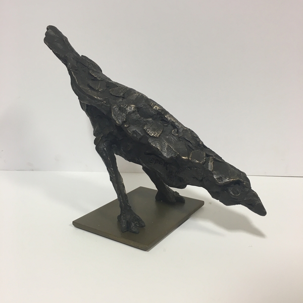 Saturn Blackbird 11/12