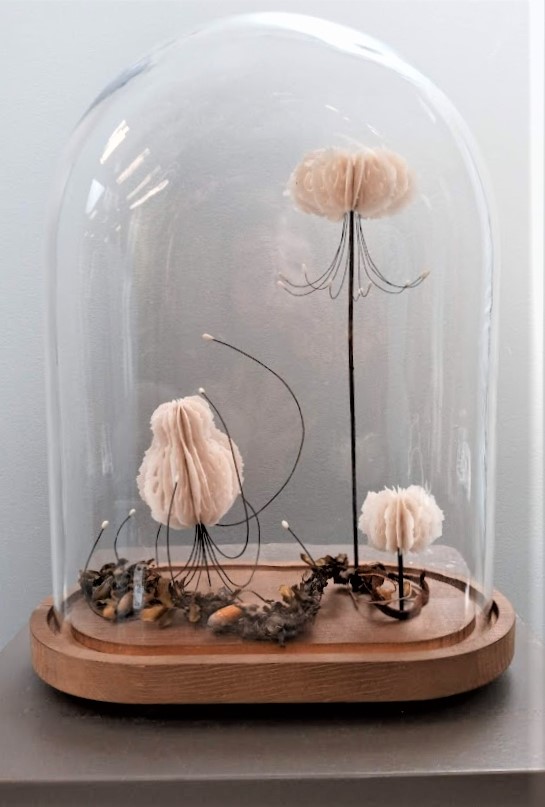 Bone Series- Urchins and Medusas (small) | ÆRENA Galleries & Gardens