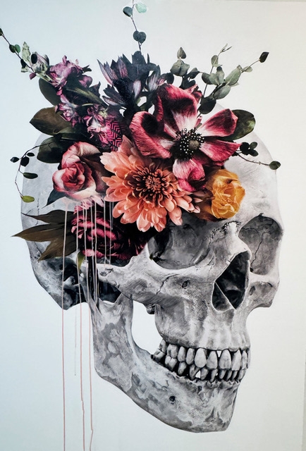 美品　Music Life Aero Skull/エアロ スカル HD+ Skull Daze I | ÆRENA Galleries & Gardens