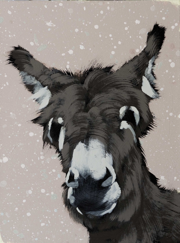 Grey Donkey on Tan Splash
