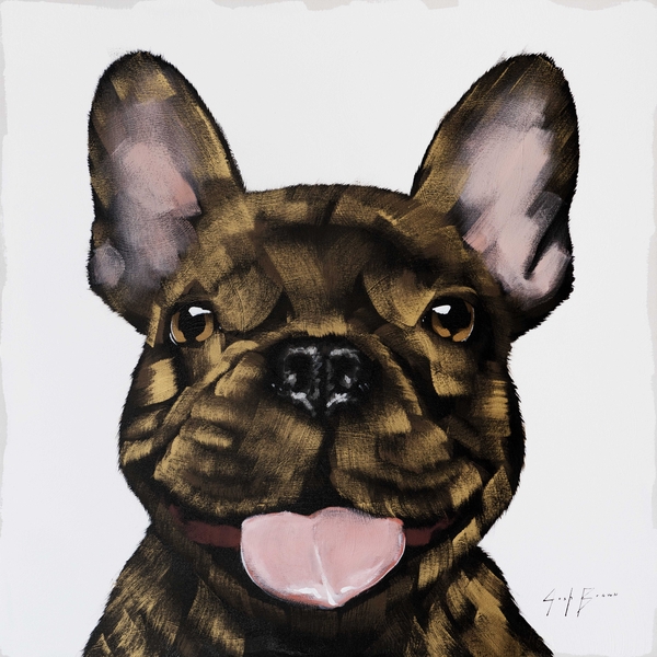 Gold Frenchie on White
