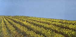 Gold Harvest 4975
