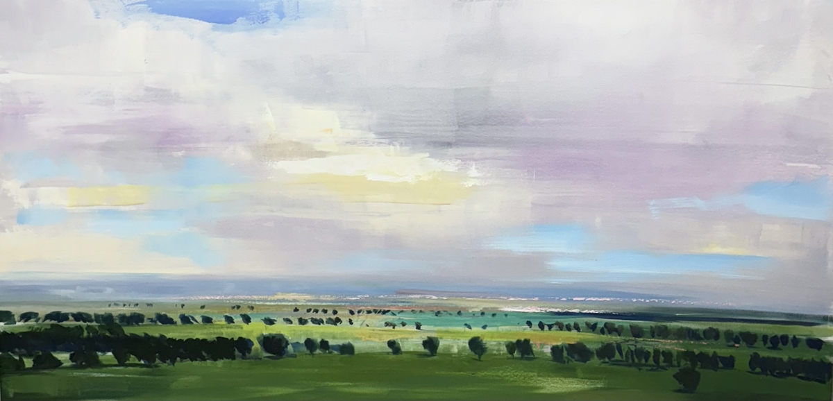 Sky Over Fields