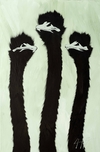 Three Ostrich on Light Green Brush