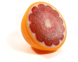 Pink Grapefruit Half