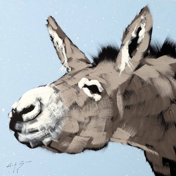Donkey on Blue Splash