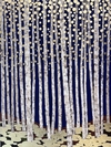 Night Birch 5046