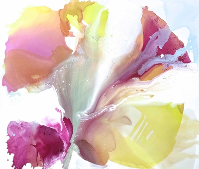 THE SHAPE OF GRACE BY LIZ BARBER & LORRI ACOTT