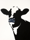 Invisible Cow with Blue Nose