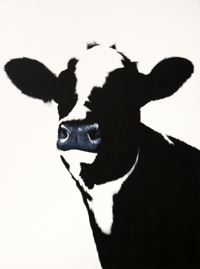 Invisible Cow with Blue Nose