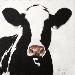 ANAMALIA BY JOSH BROWN