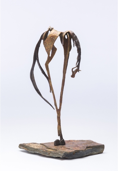 ARCADIA BY ANN SHOGREN & SANDY GRAVES